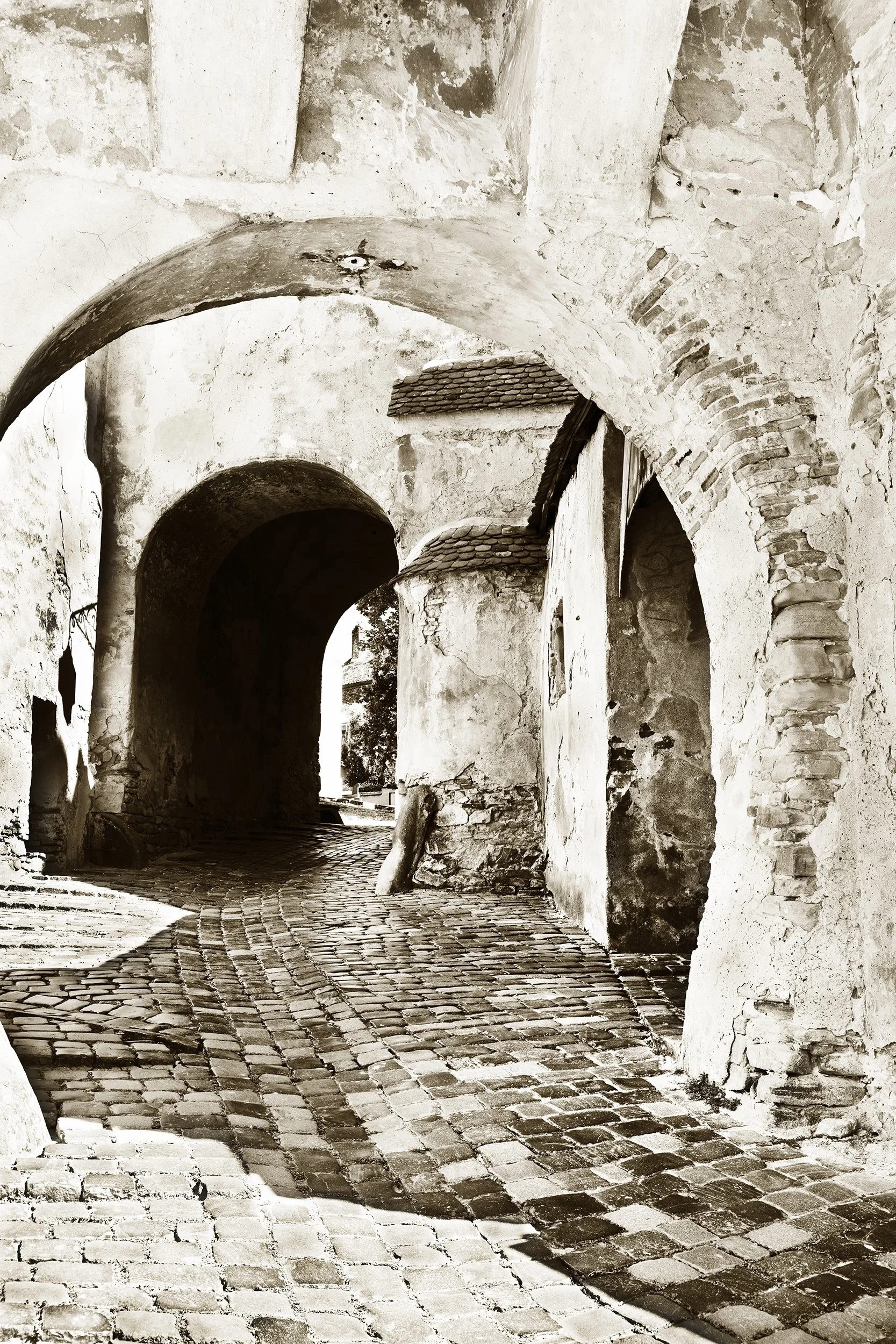 _F2A1890 5.jpg