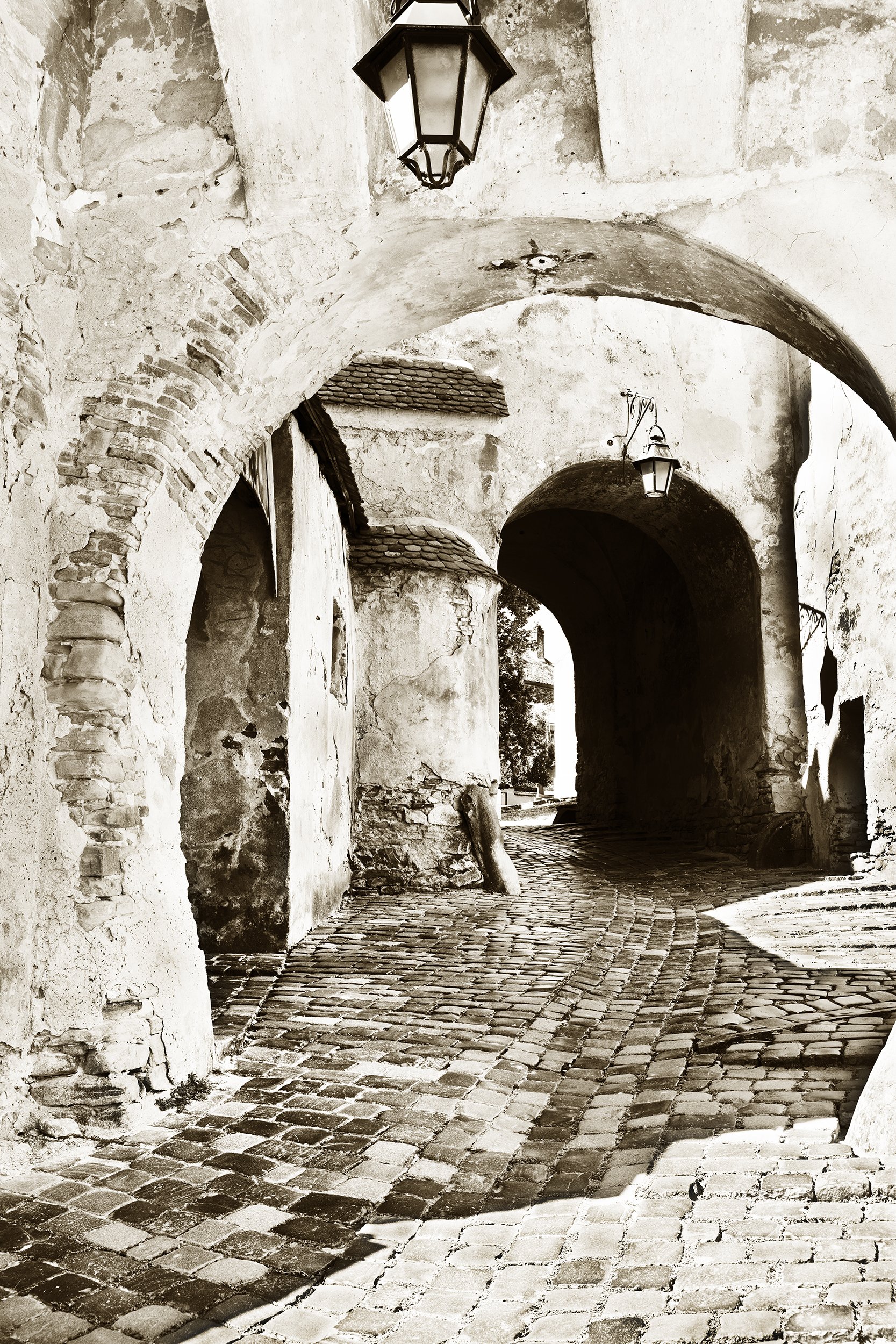 _F2A1890 4a.jpg