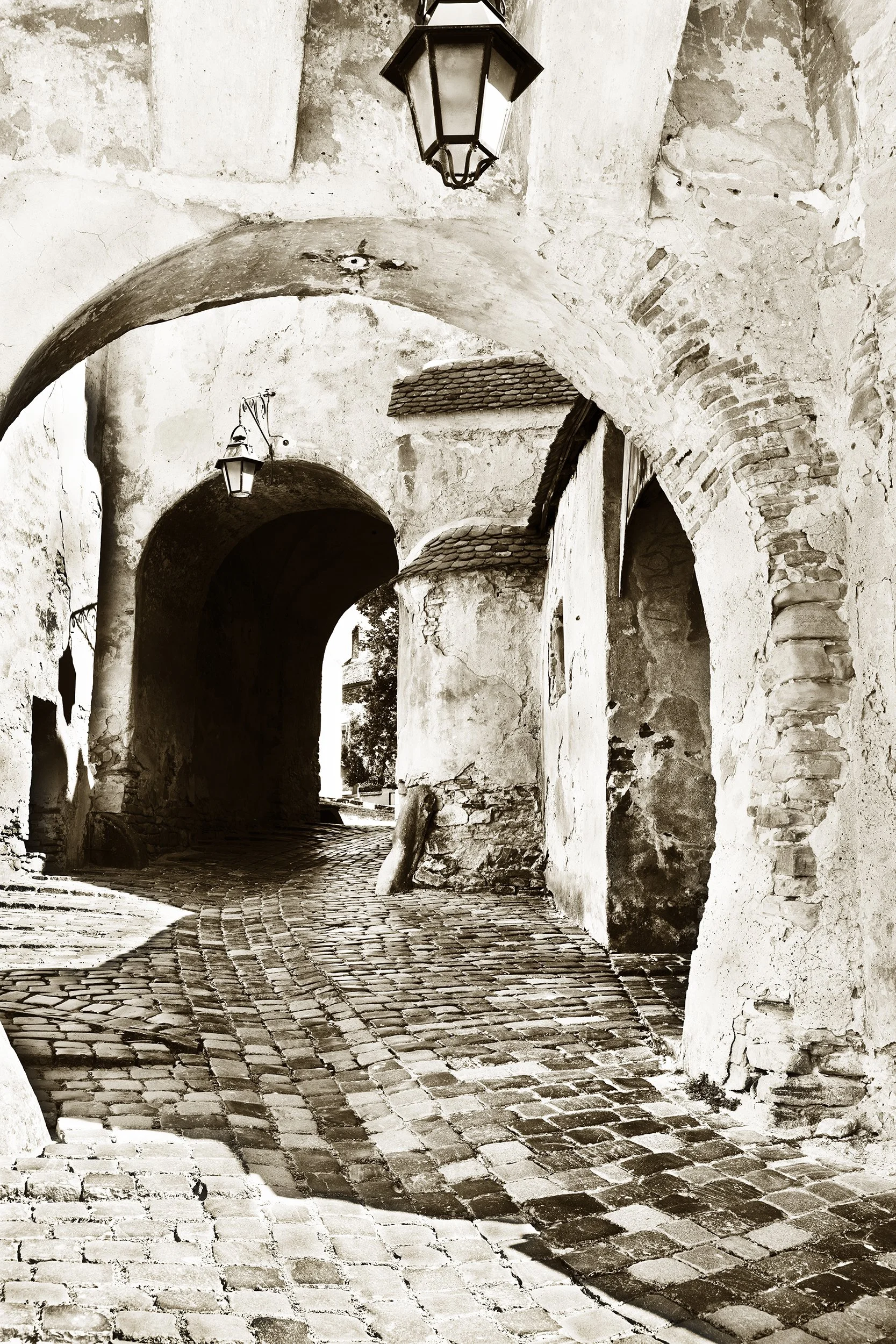 _F2A1890 4.jpg