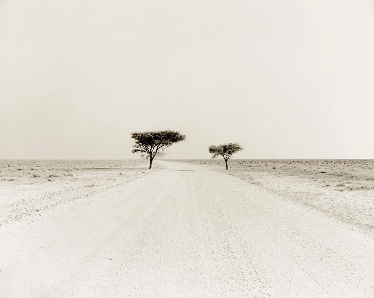 Etosha