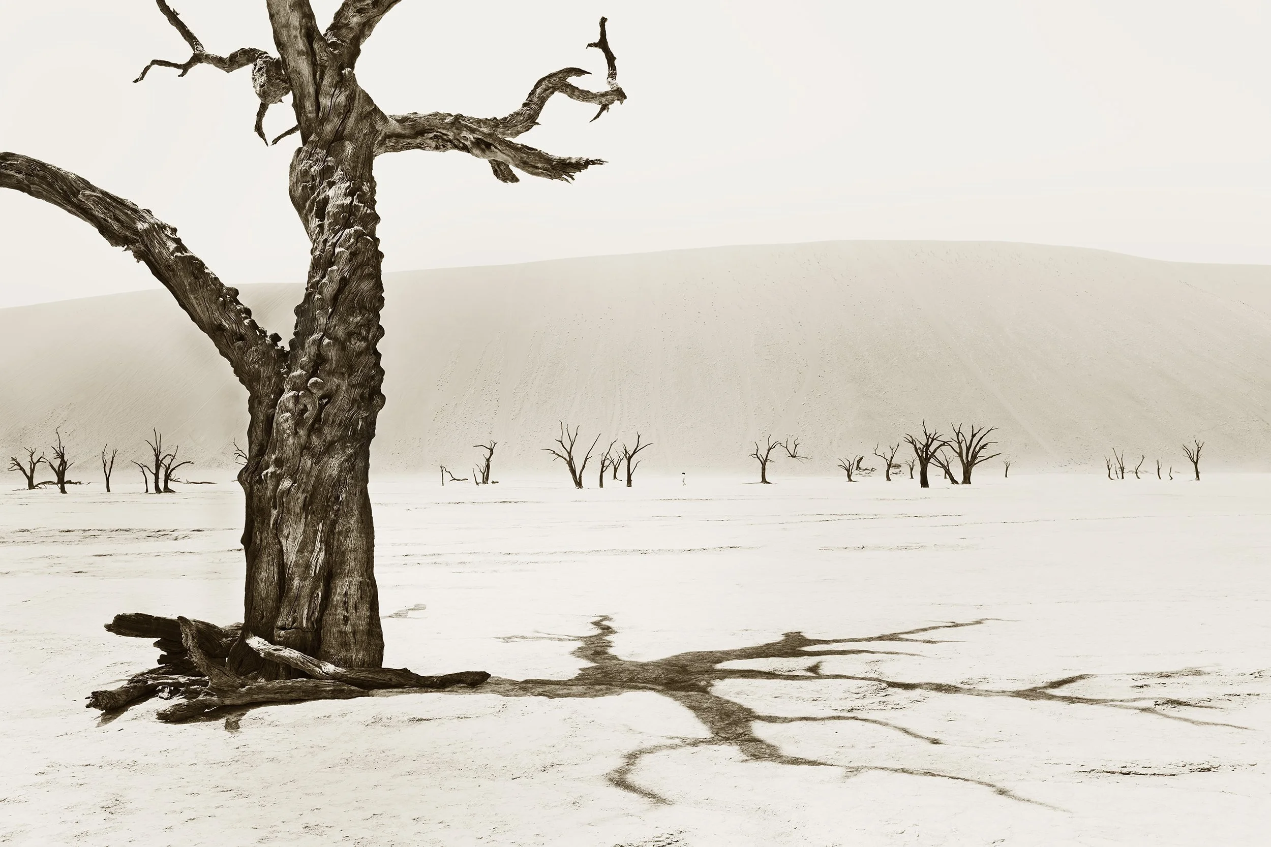 Deadvlei 1