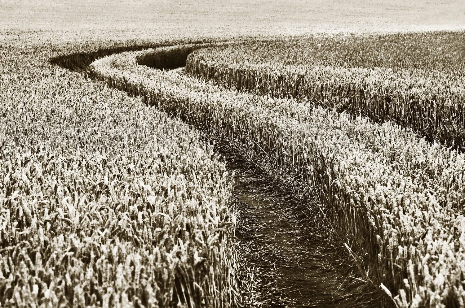 Tracks