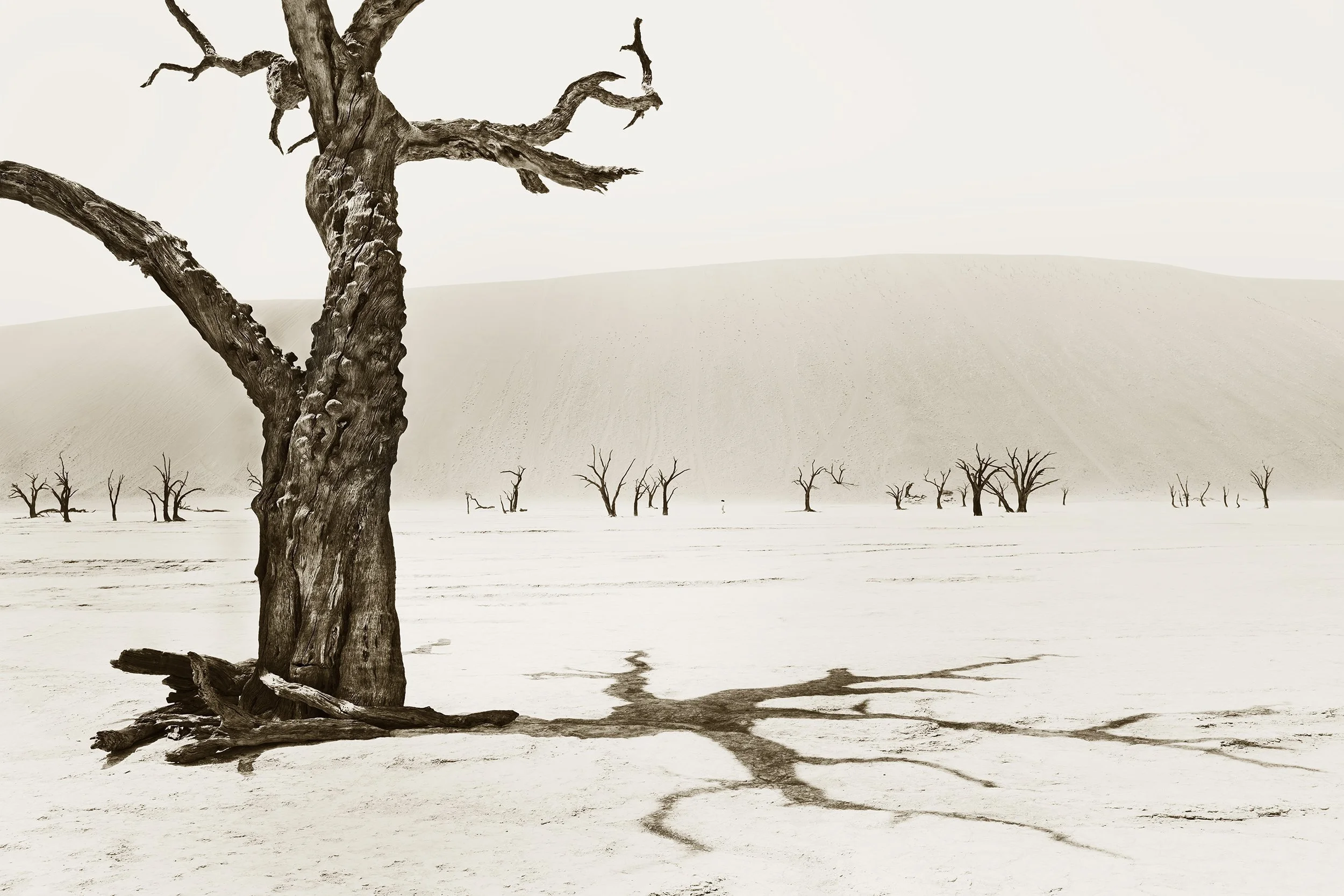 Deadvlei 1