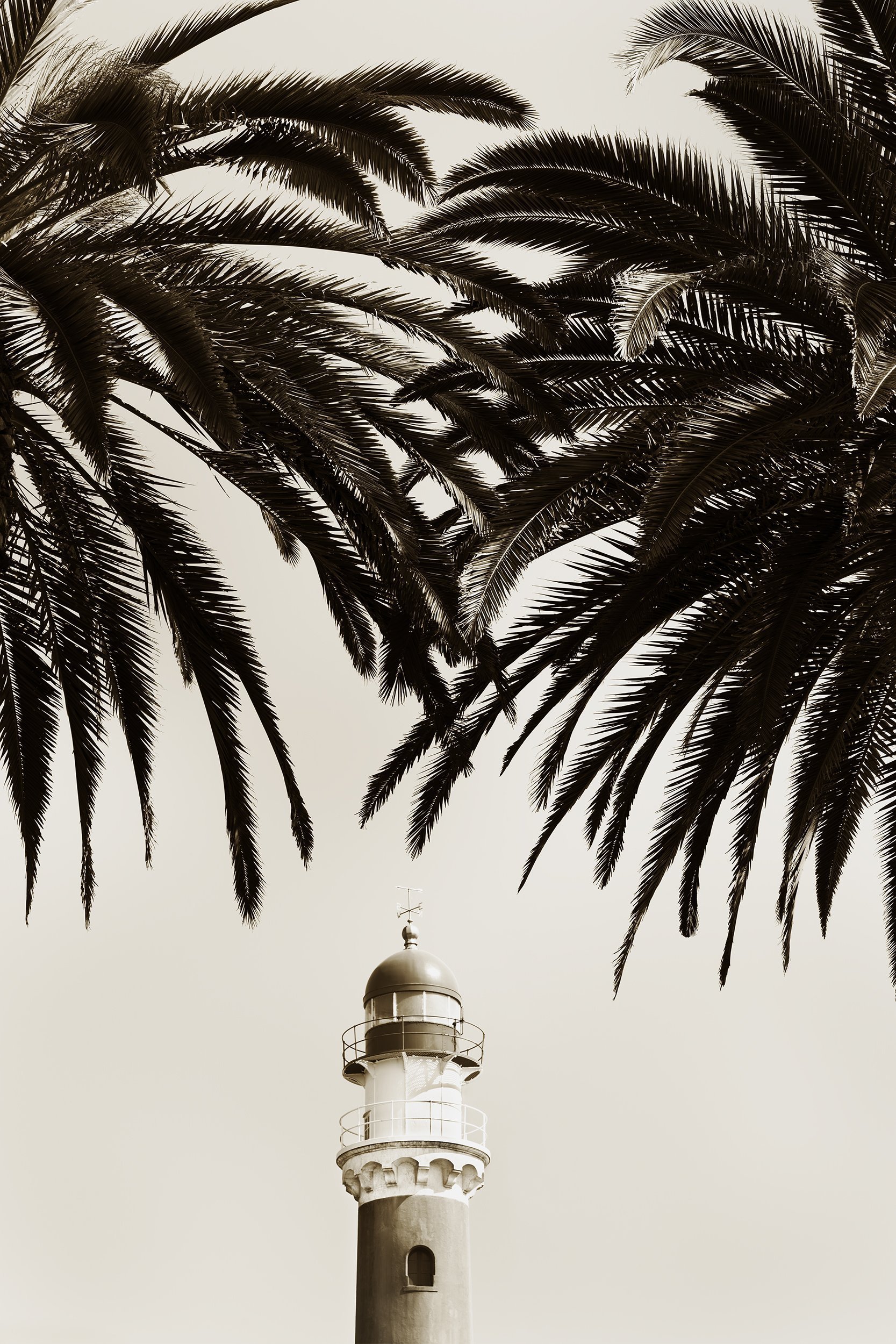 Down Periscope