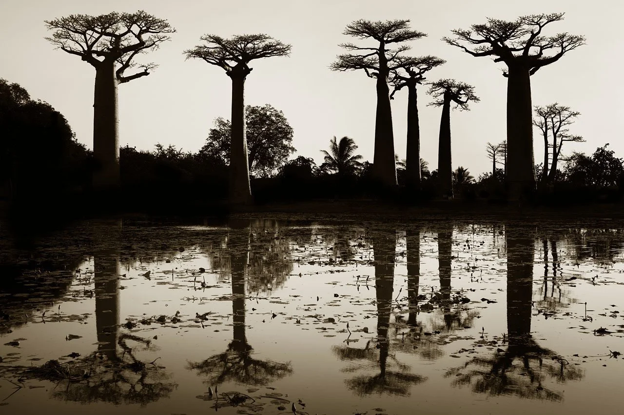 Morondava