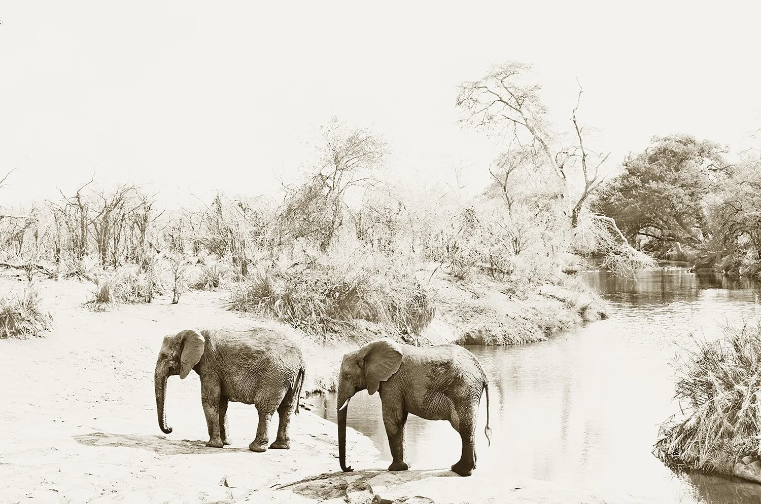 Nthandanyathi