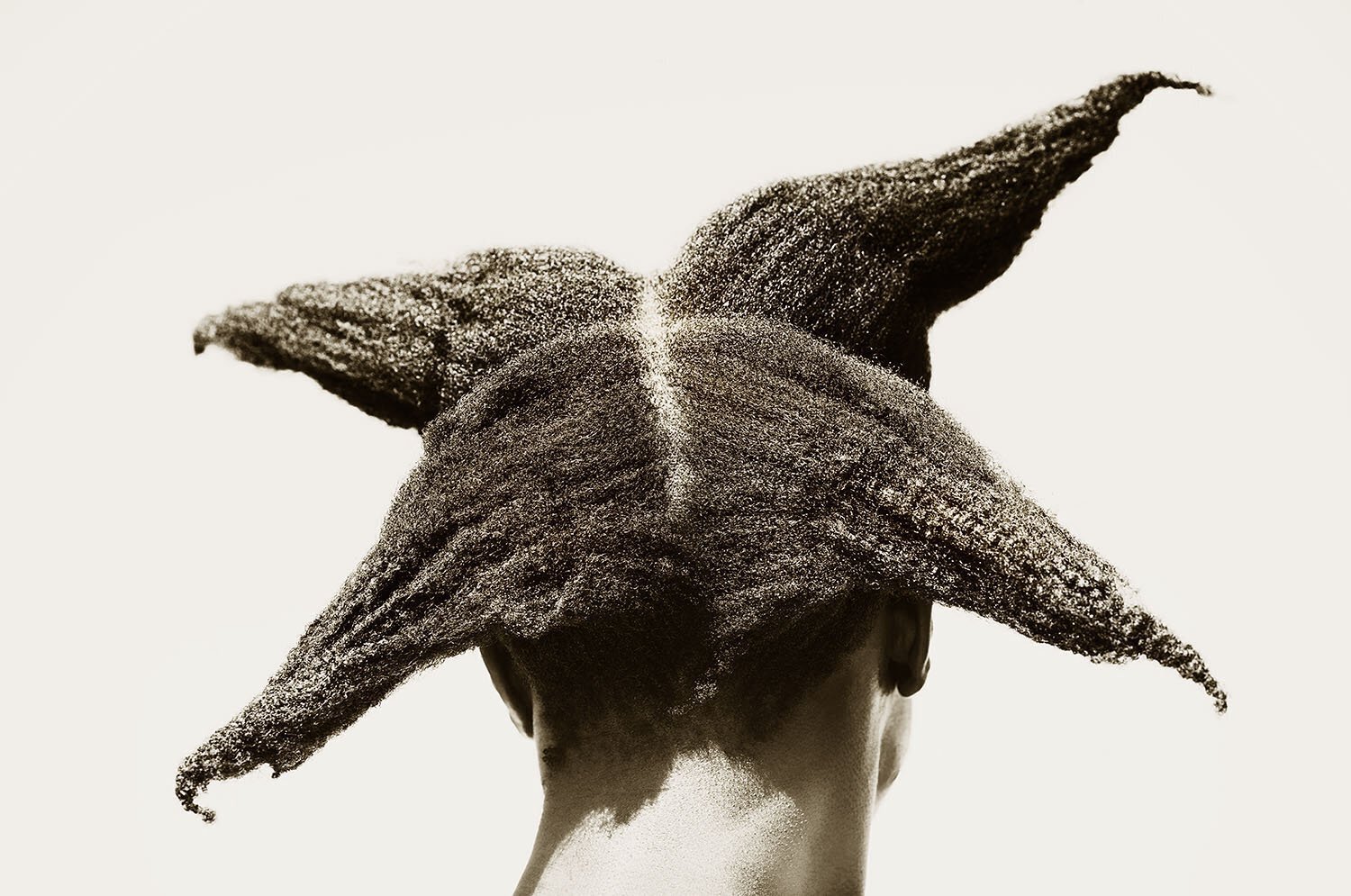 Coiffure