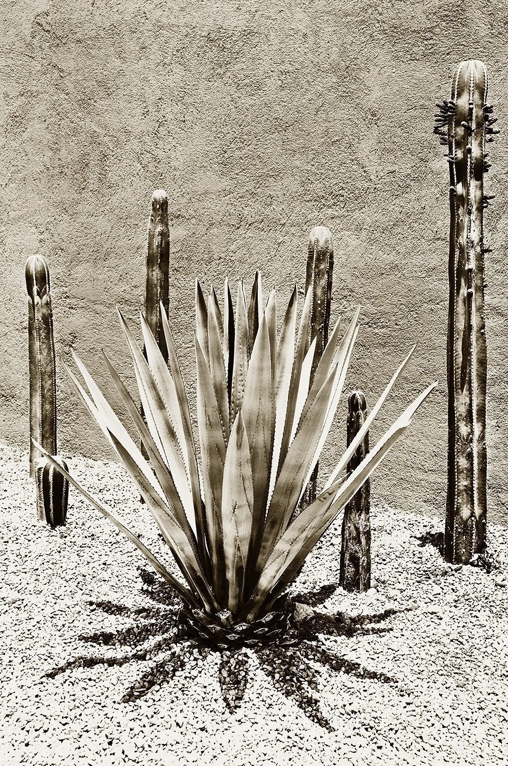Solar Noon