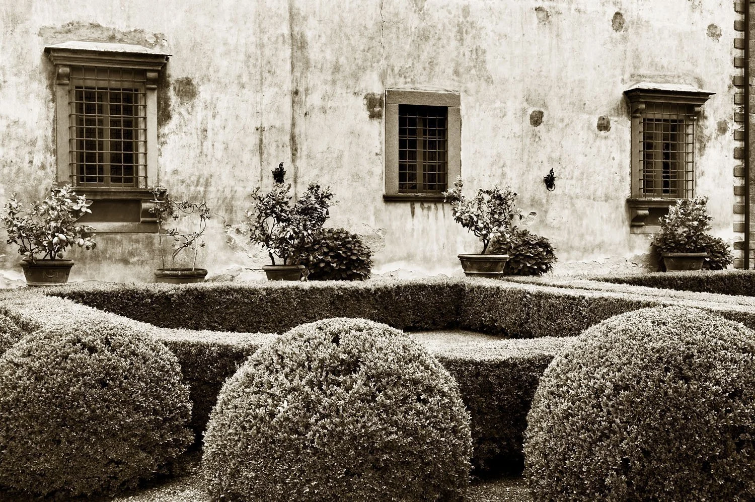 Vignamaggio
