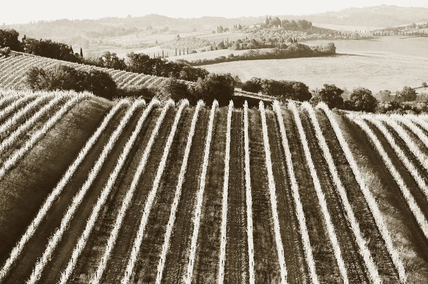 Castellina in Chianti 