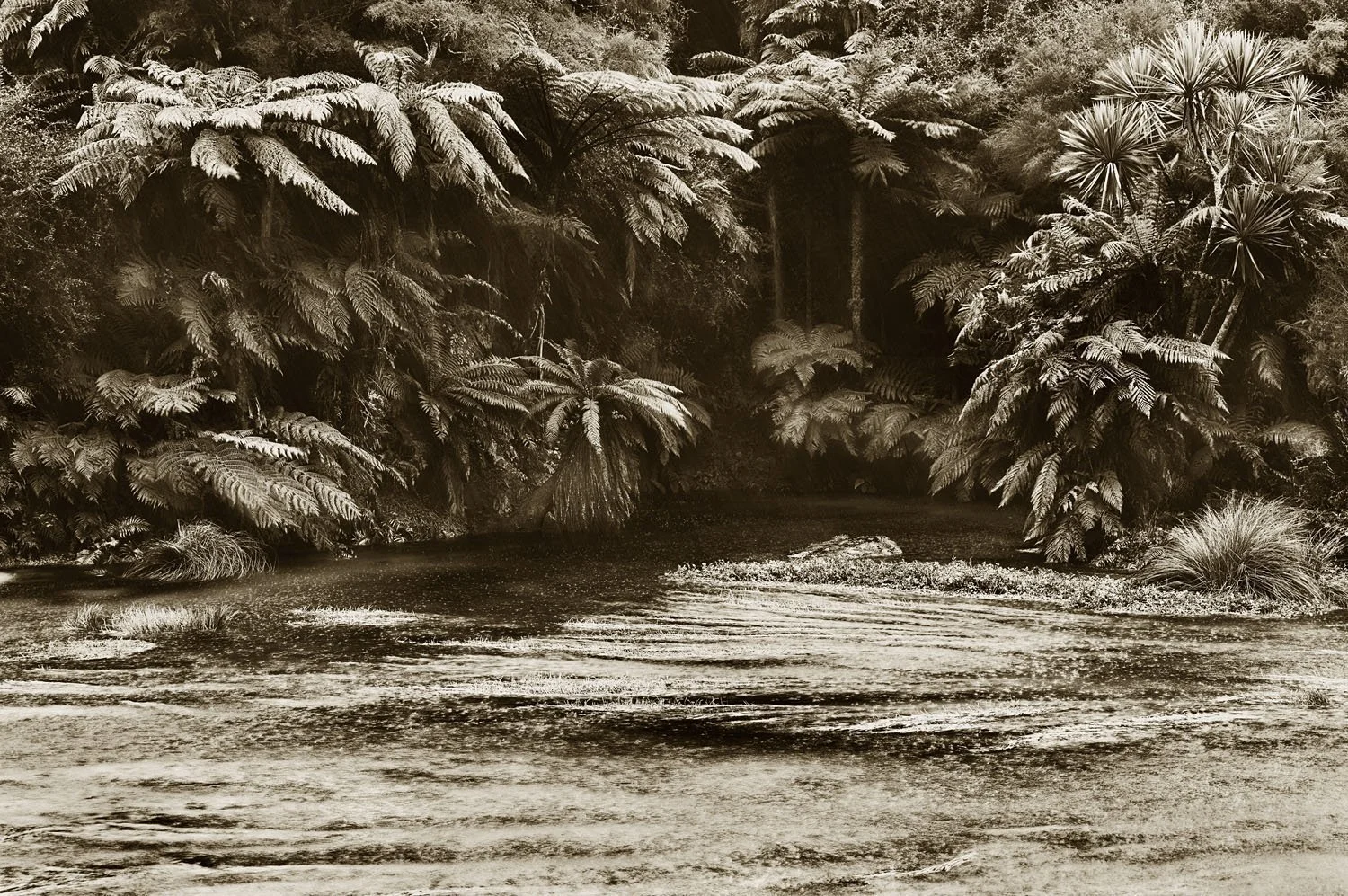 Putaruru