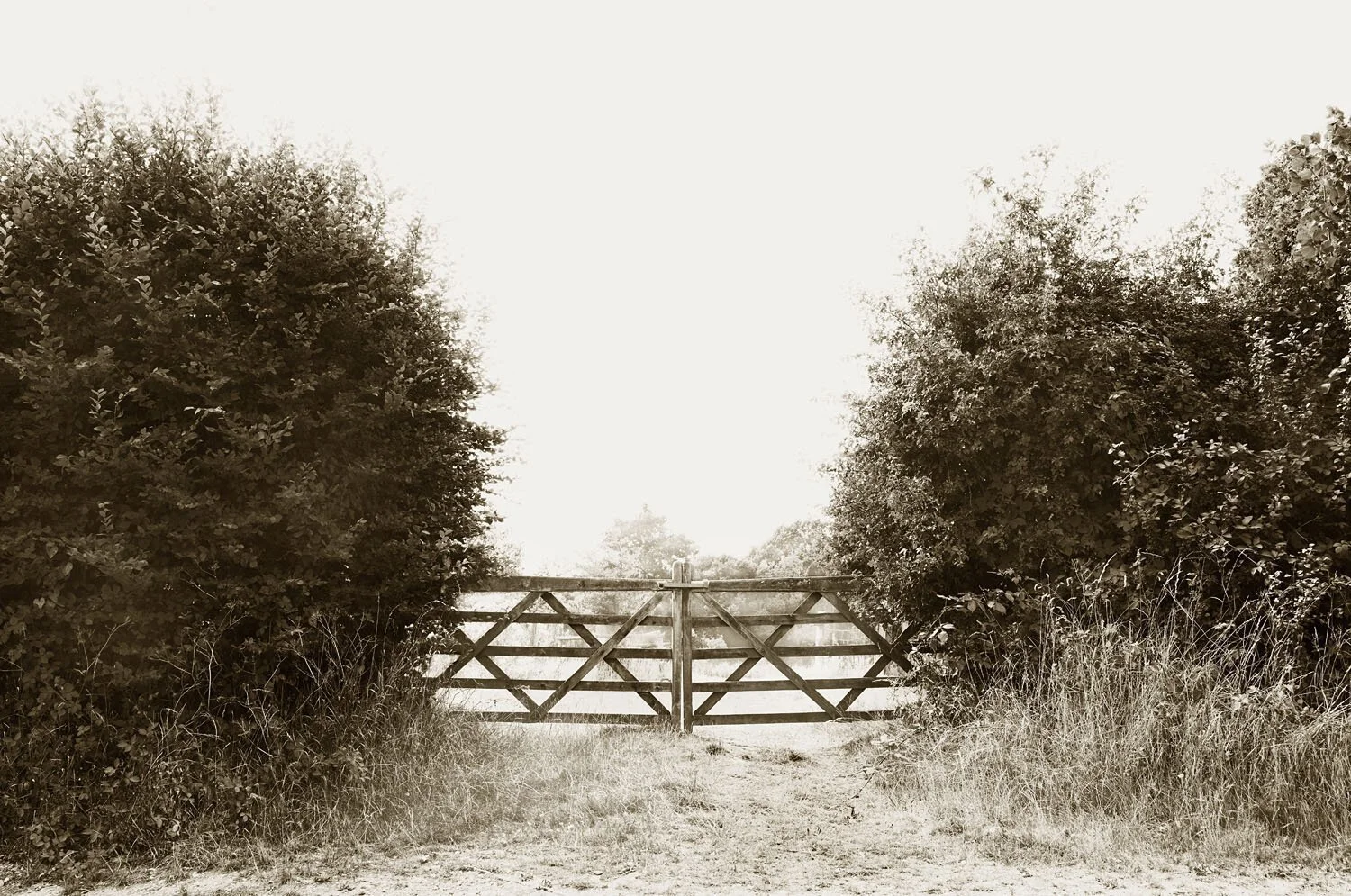 Five Bar Gates
