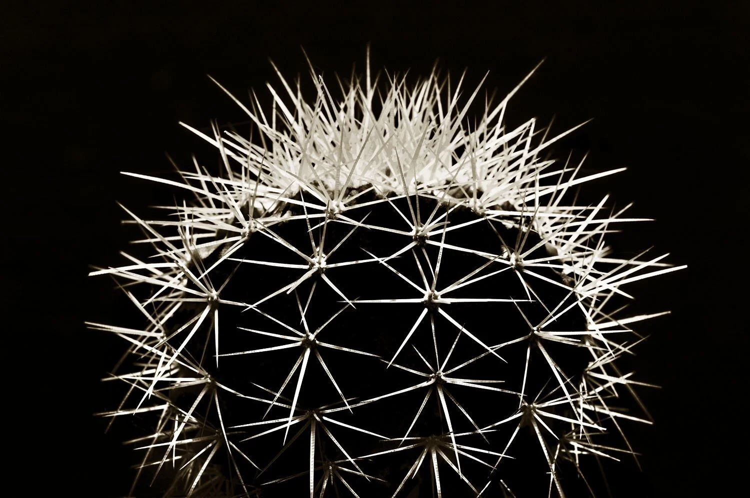 Golden Ball