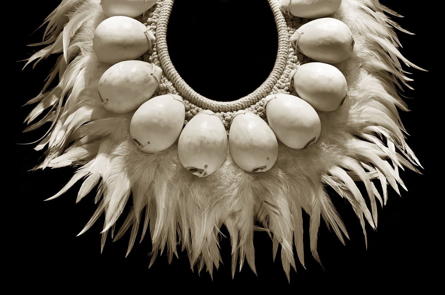 Cowrie and Feather