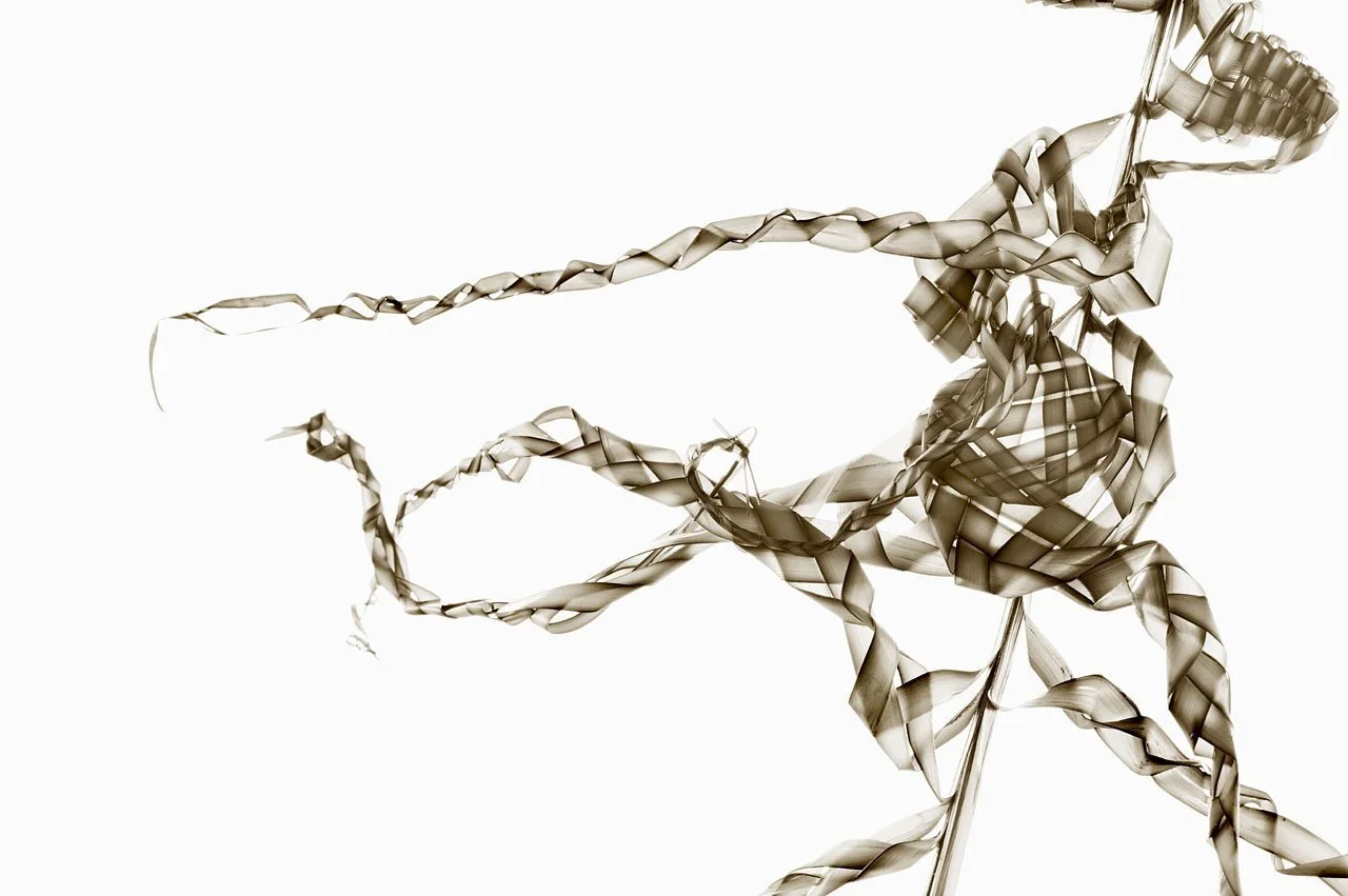 Windy