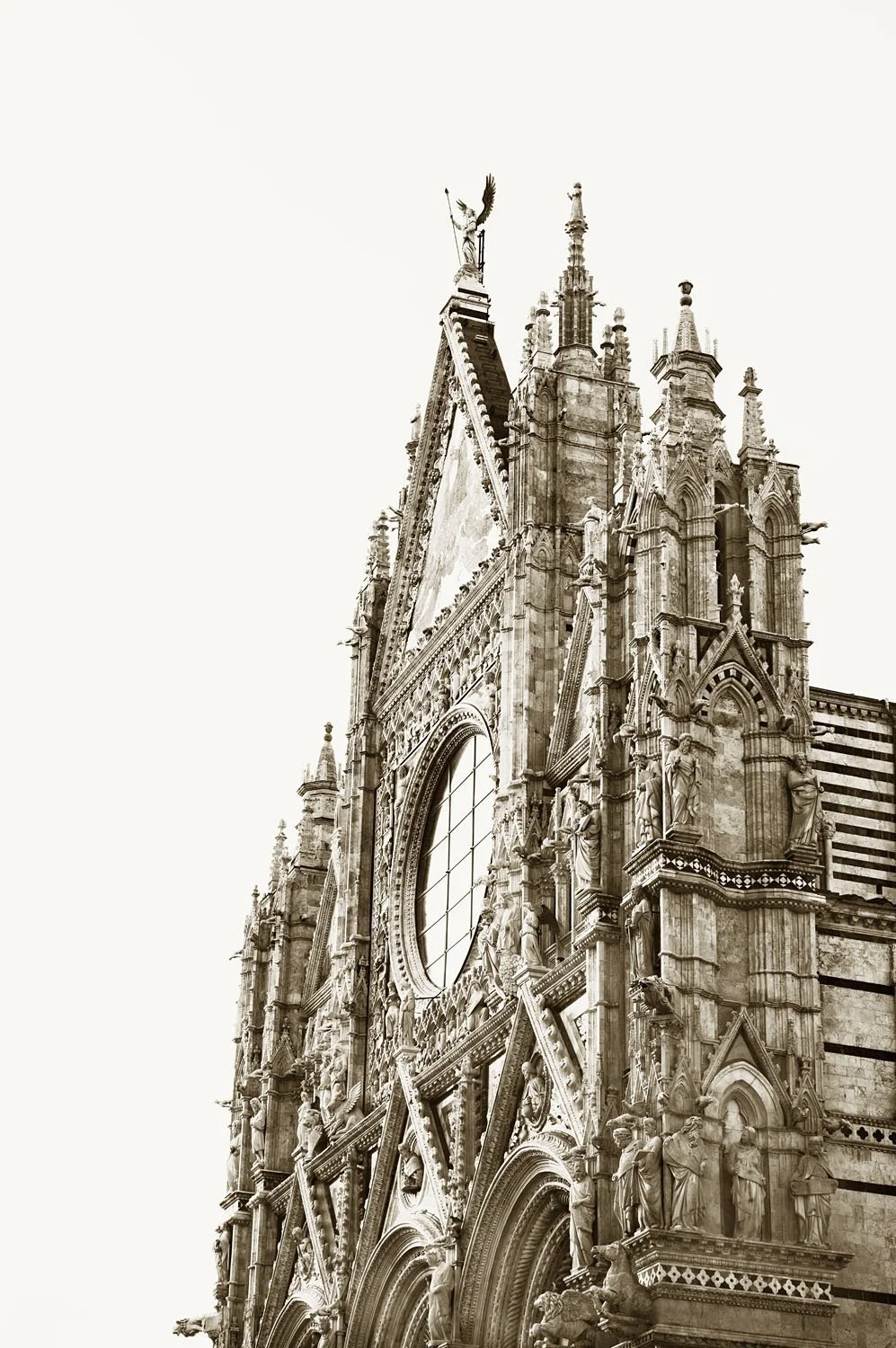 Duomo di Siena 1