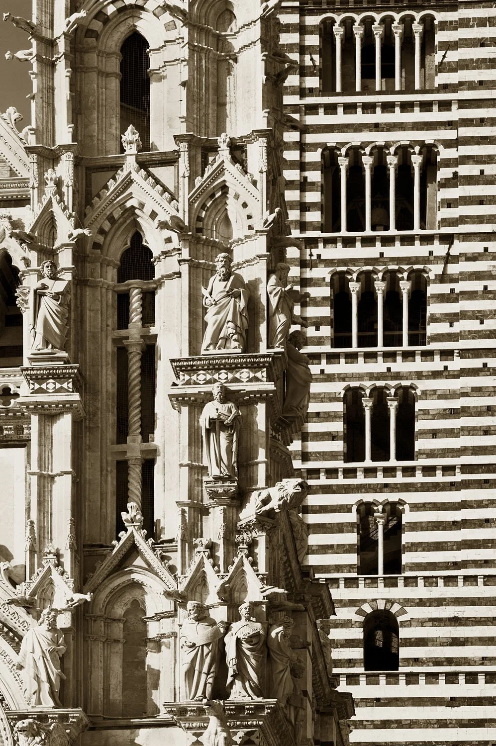 Duomo di Siena 3