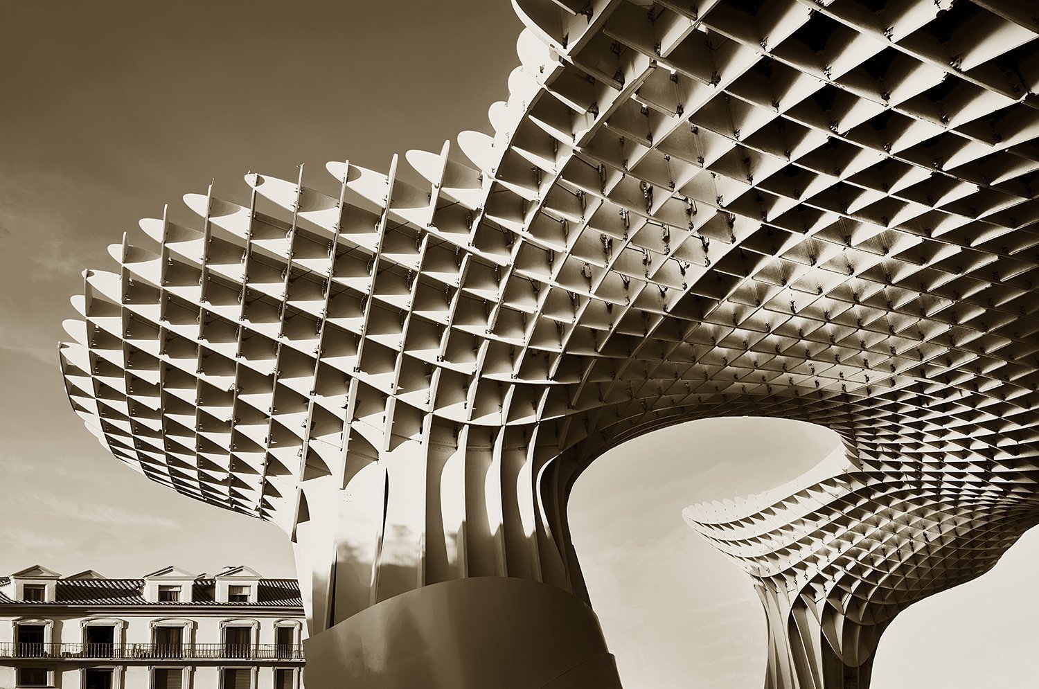 Setas de Sevilla 3