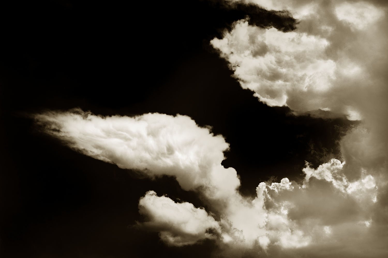 Blowin' in the Wind
