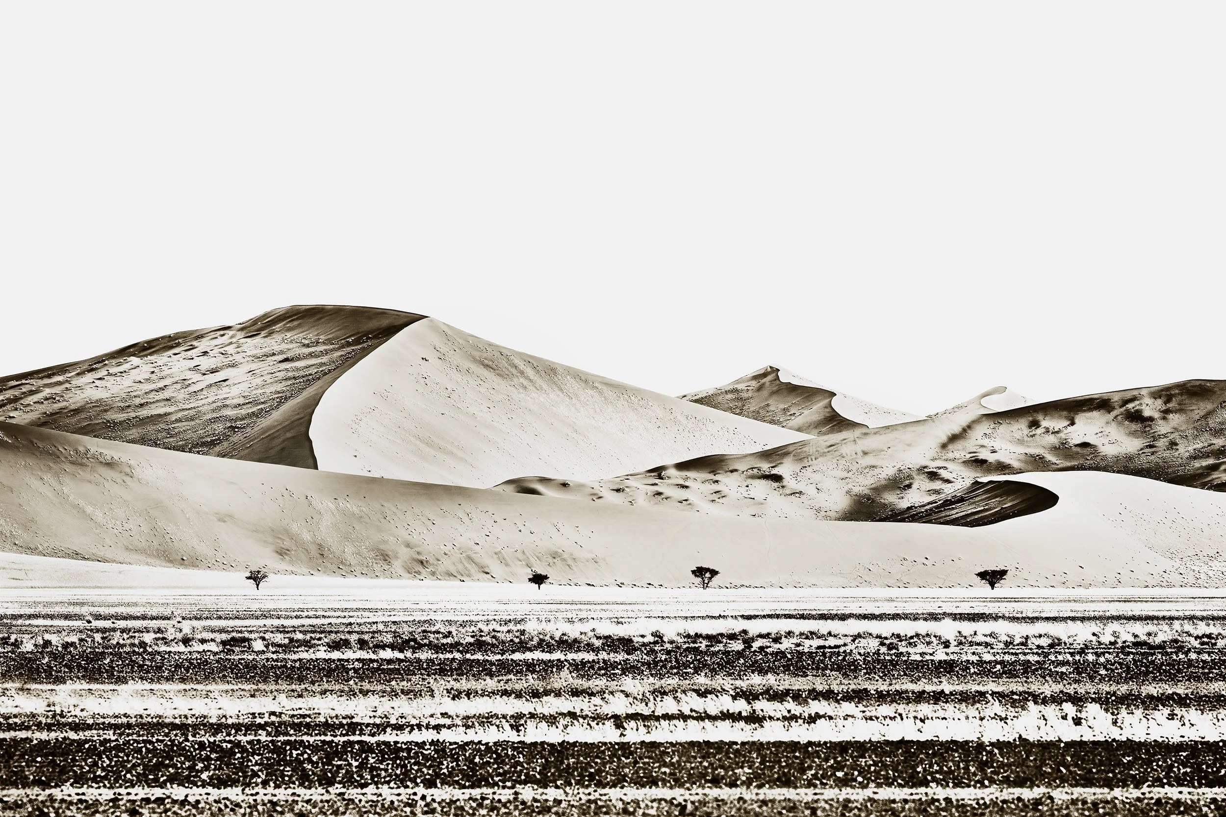 Sossusvlei 5