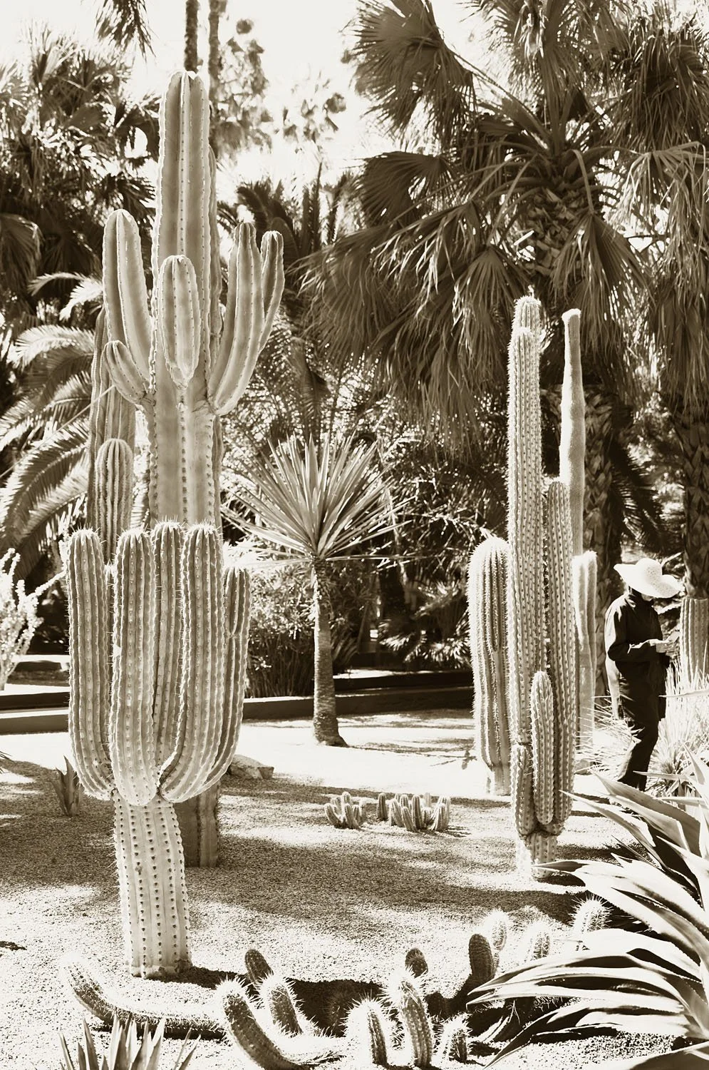 Minibreak