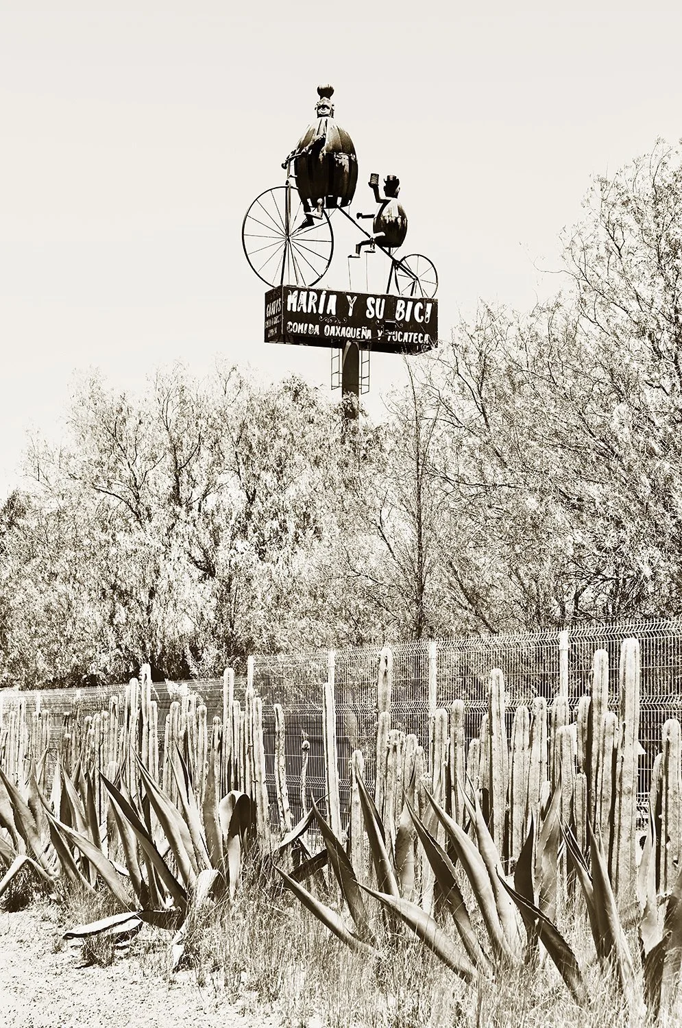 Maria y su Bici