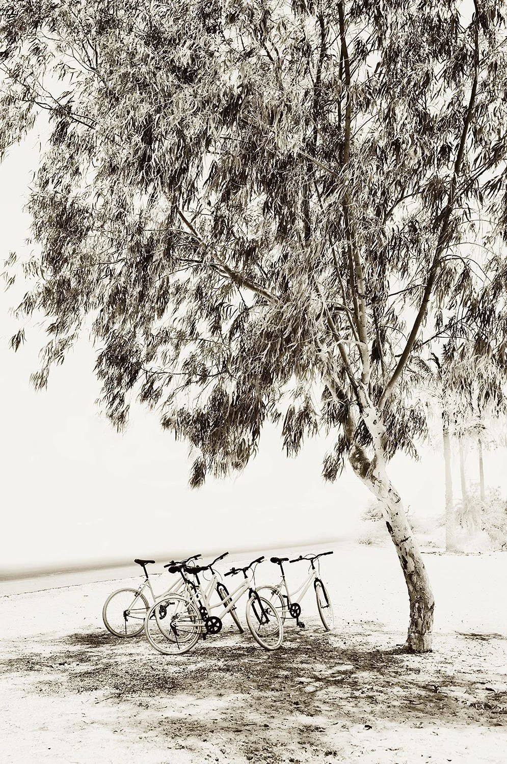 Bike Park