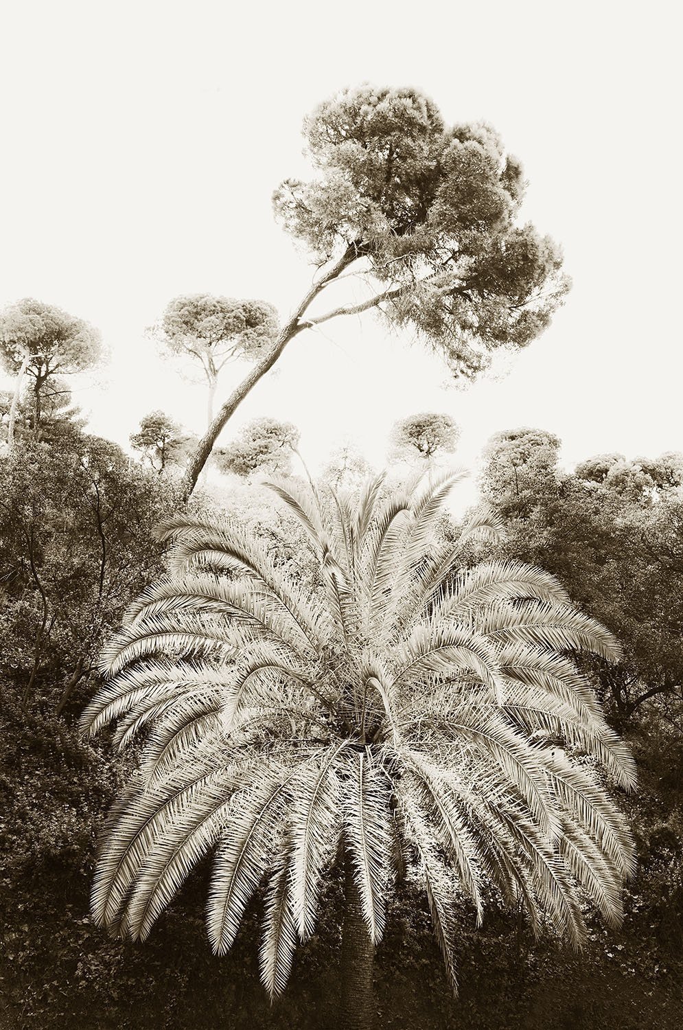 Andalusia