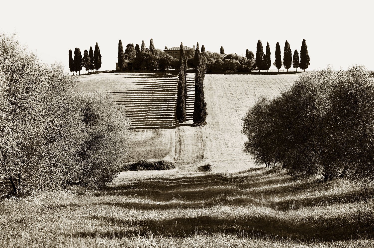 San Quirico d'Orcia