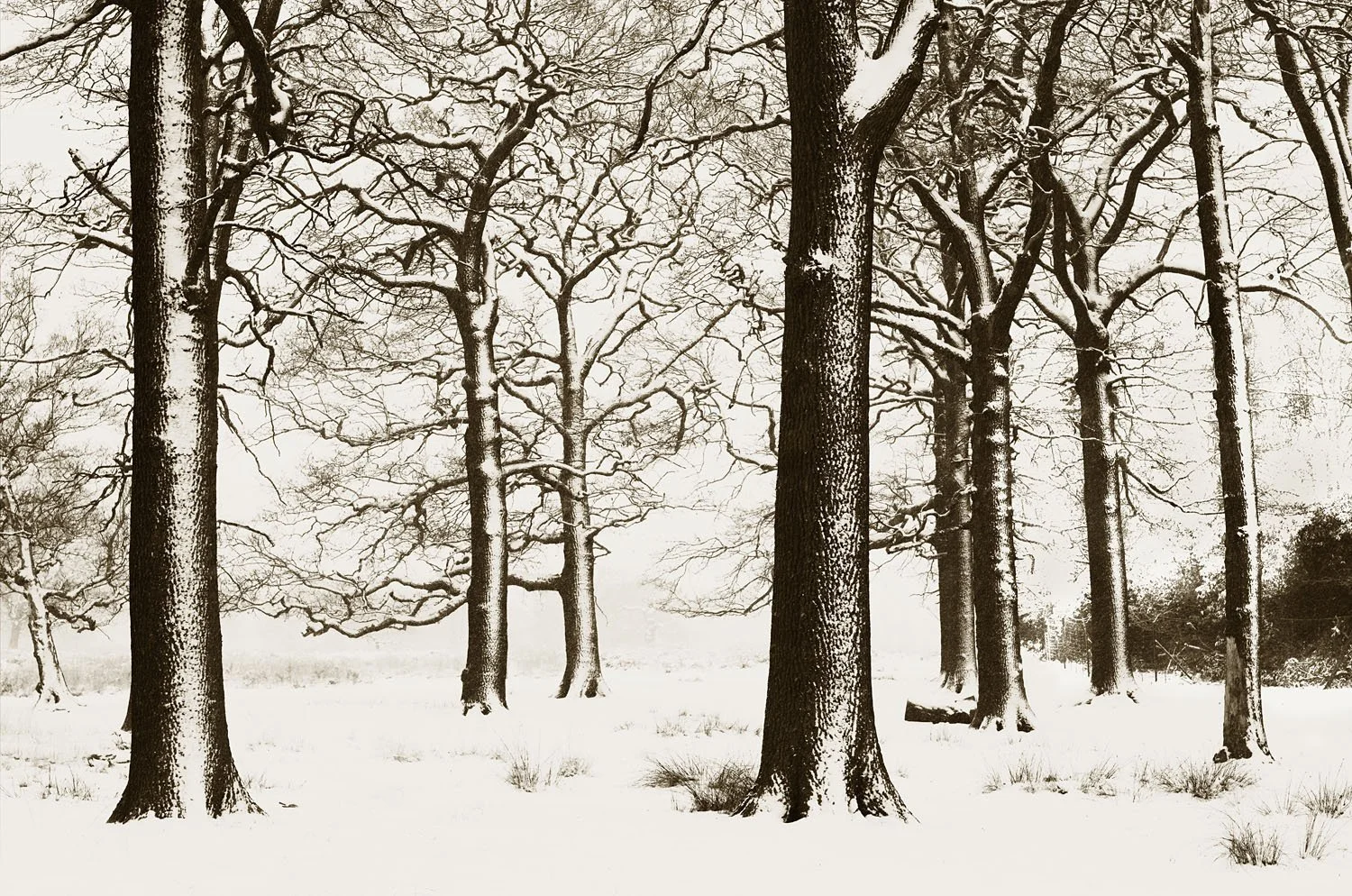 Surrey