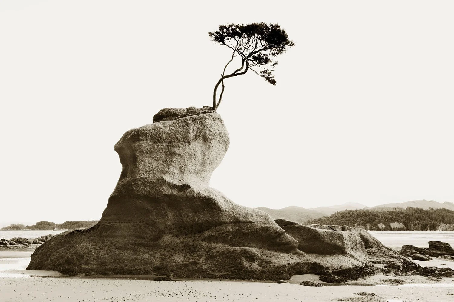 Abel Tasman