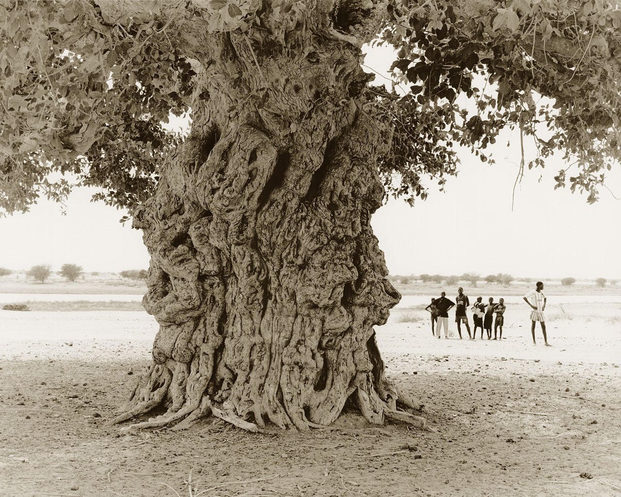 Fat Tree
