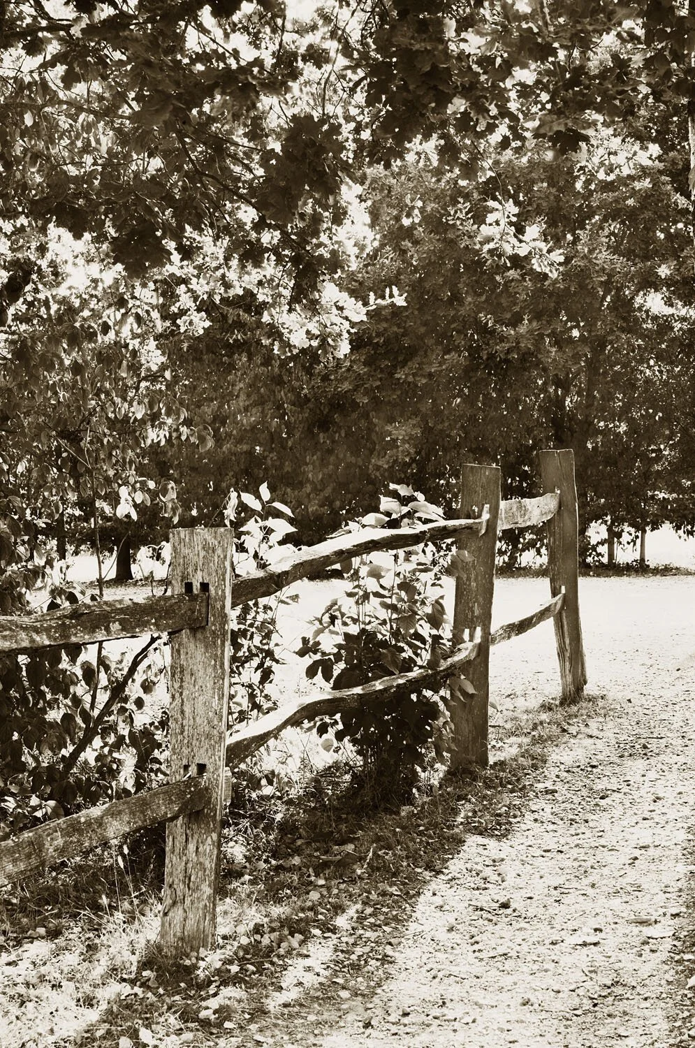 Post and Rail