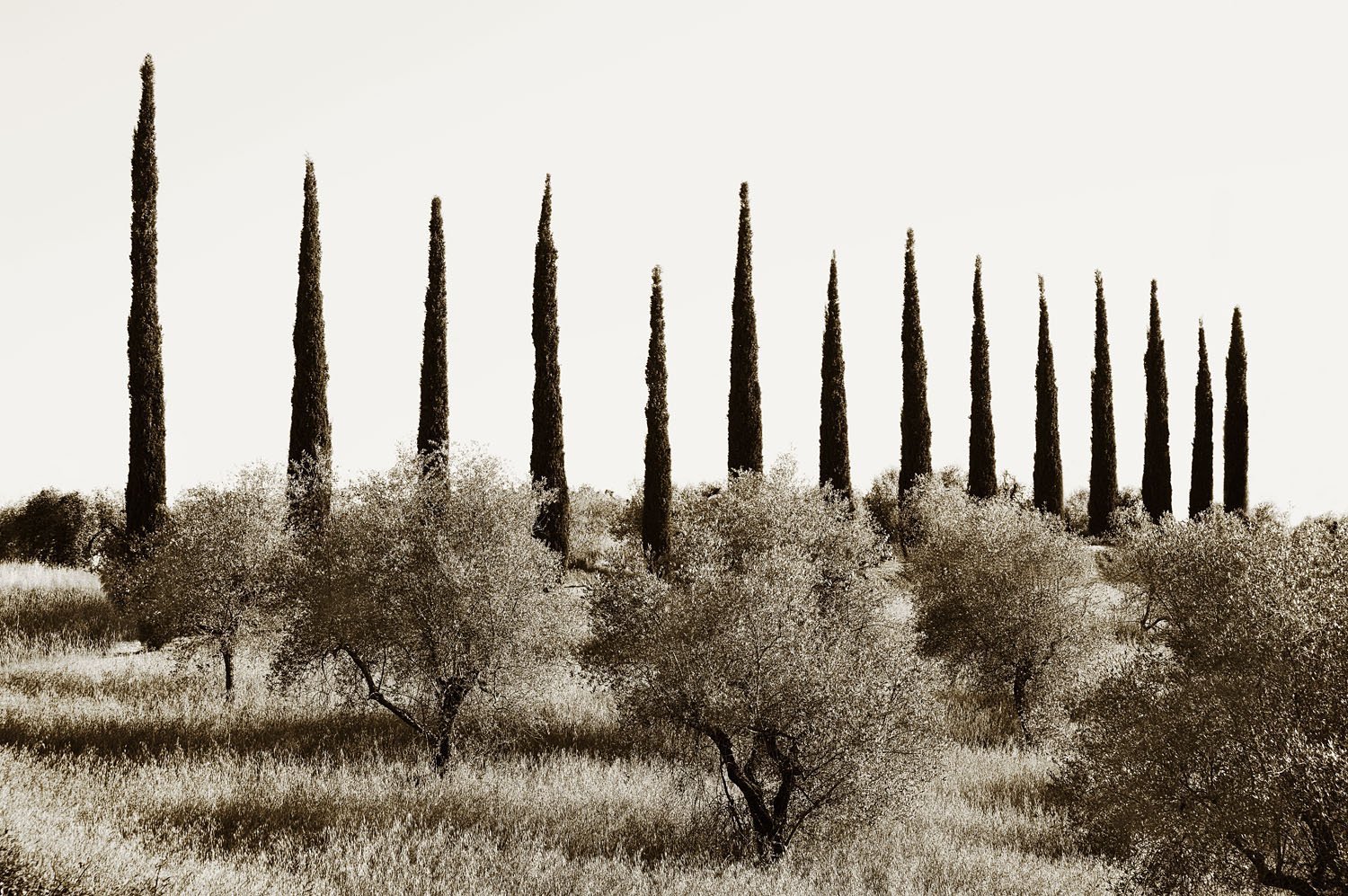 Tavernelle Val di Pesa