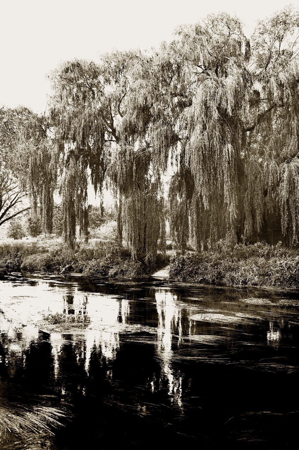 Fordwich