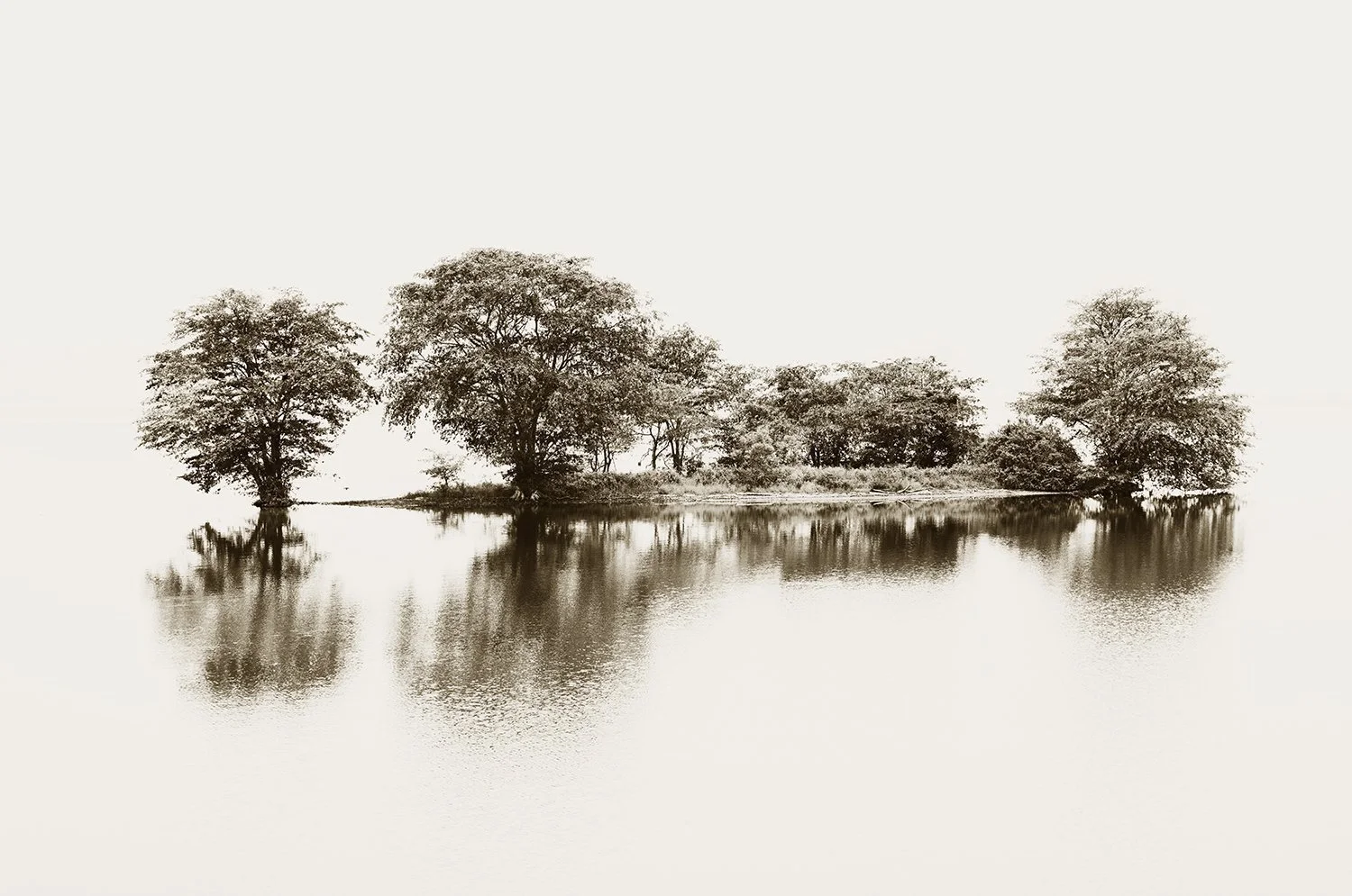 On Reflection