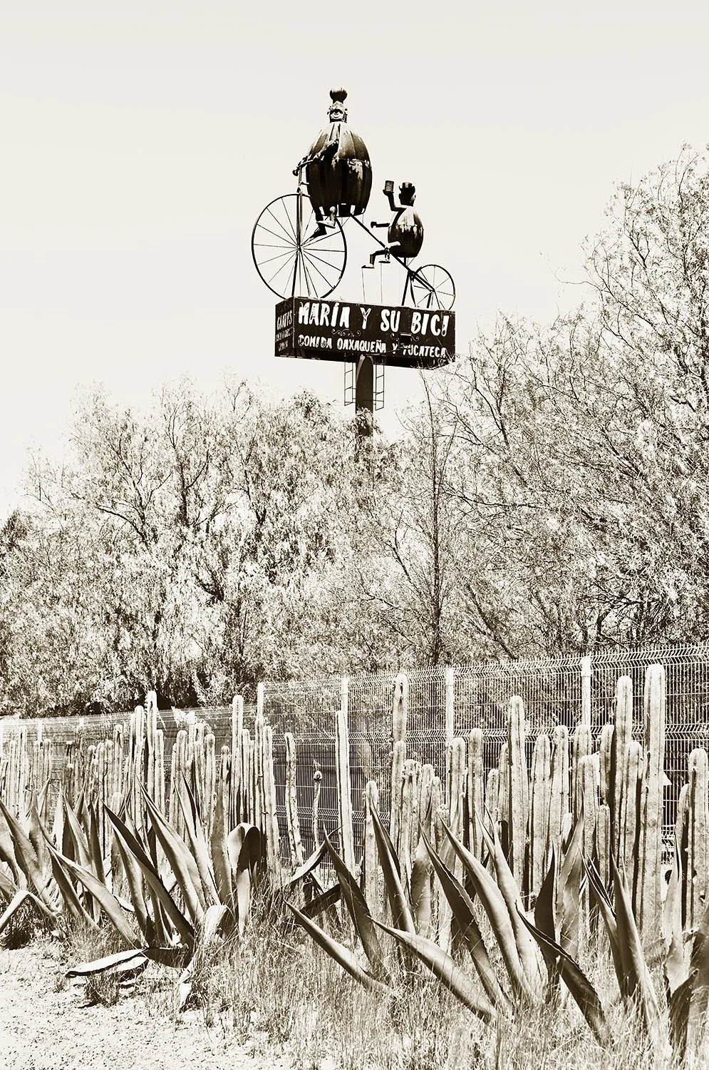Maria y su Bici