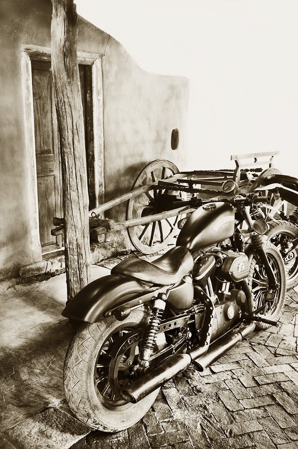 Harley