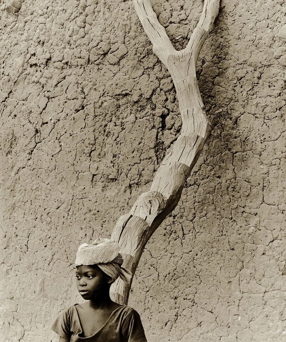 Ladder