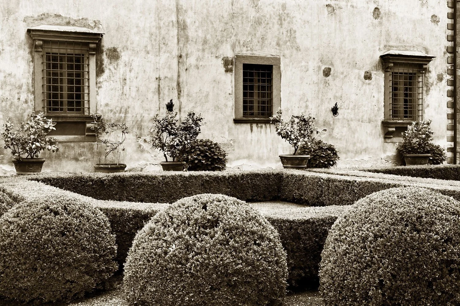 Vignamaggio