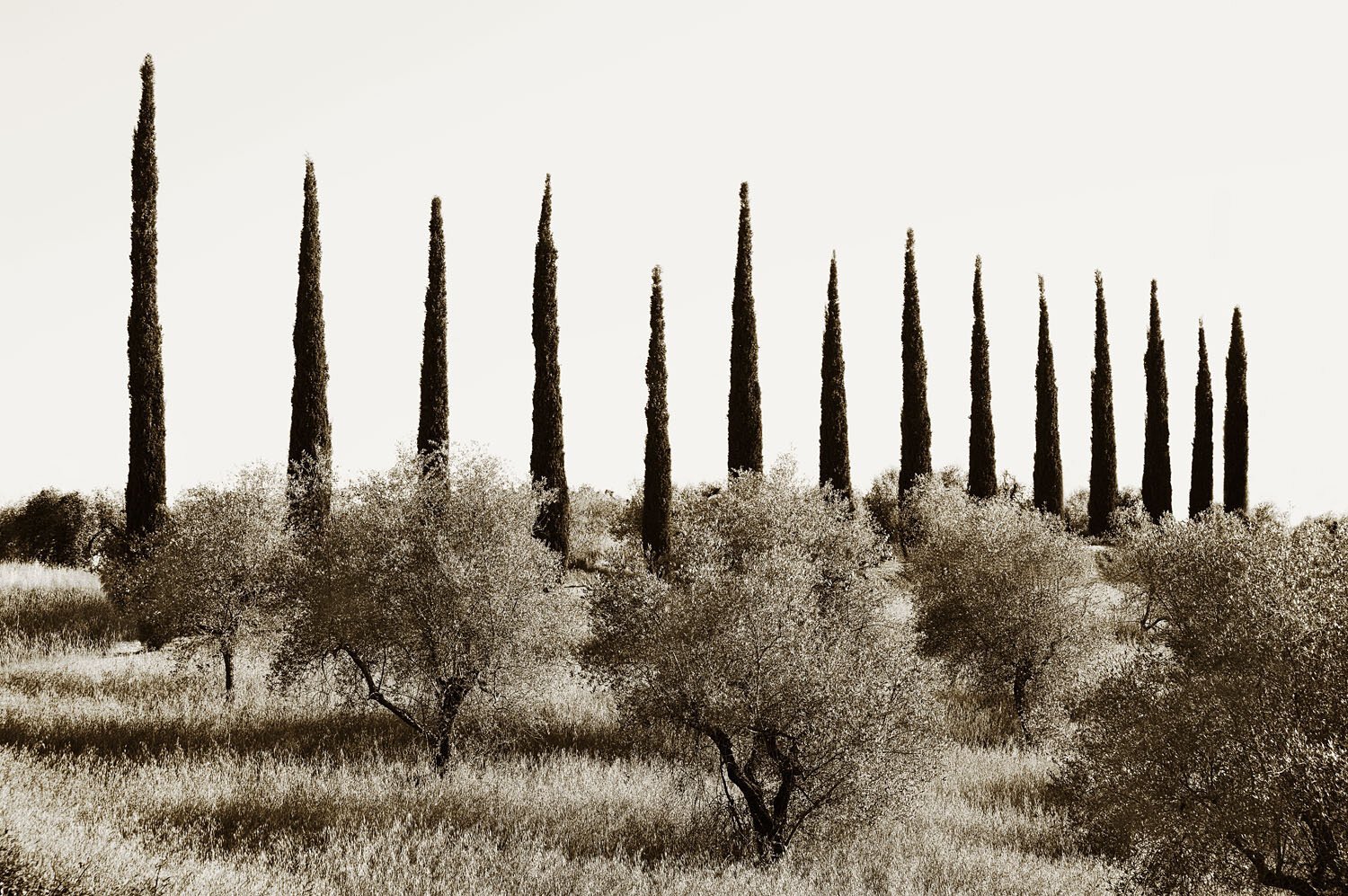 Tavernelle Val di Pesa