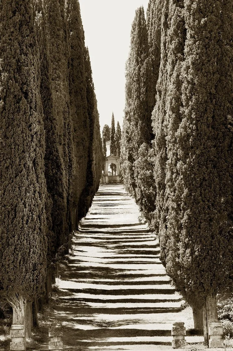 San Gimignano