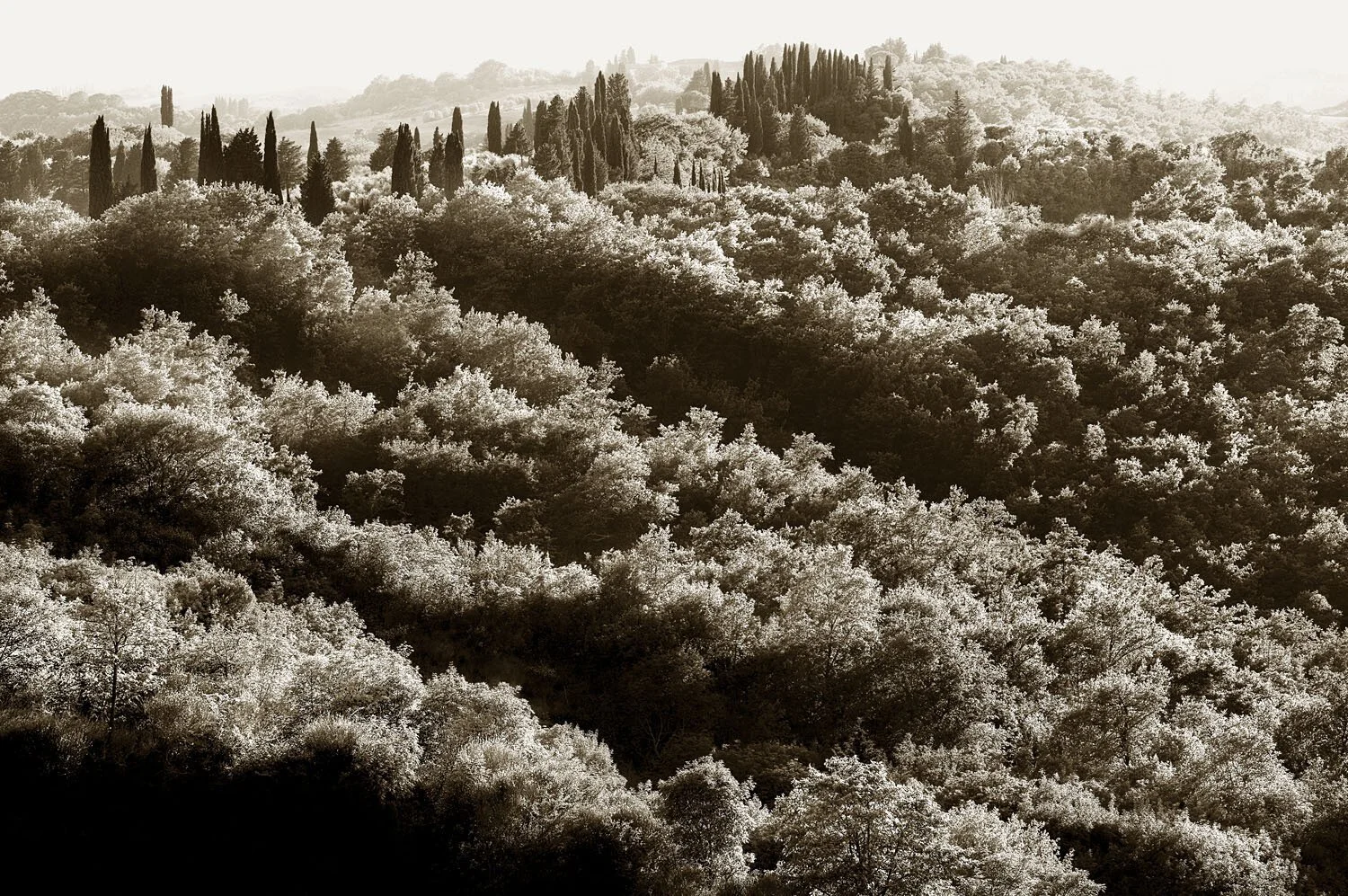 Crete Senesi