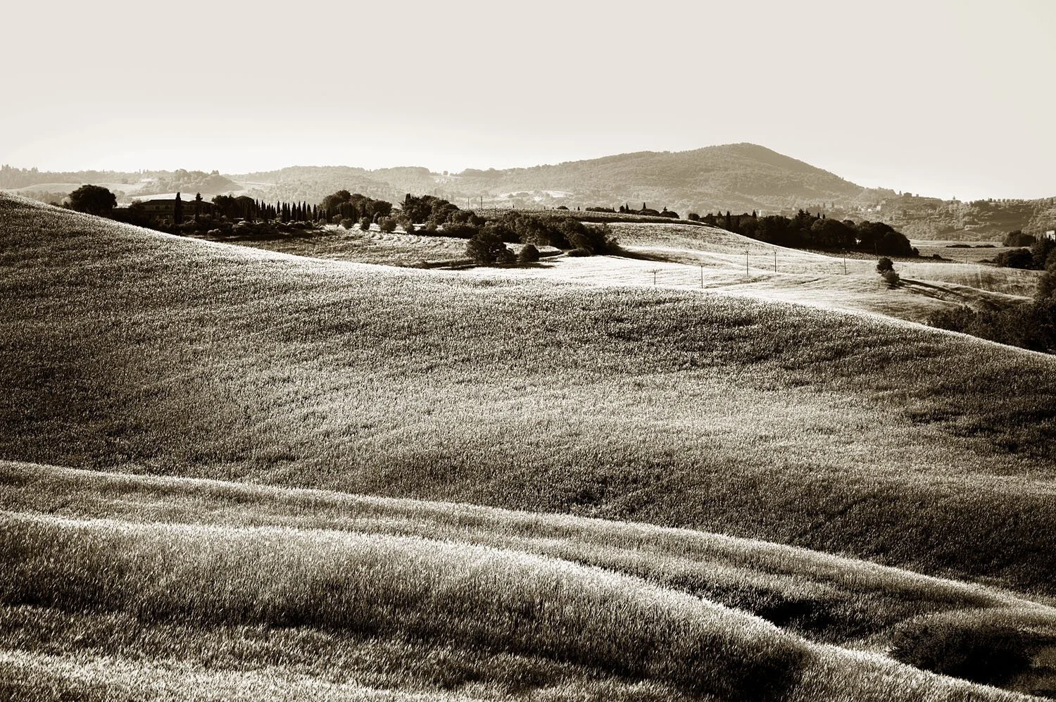 Asciano