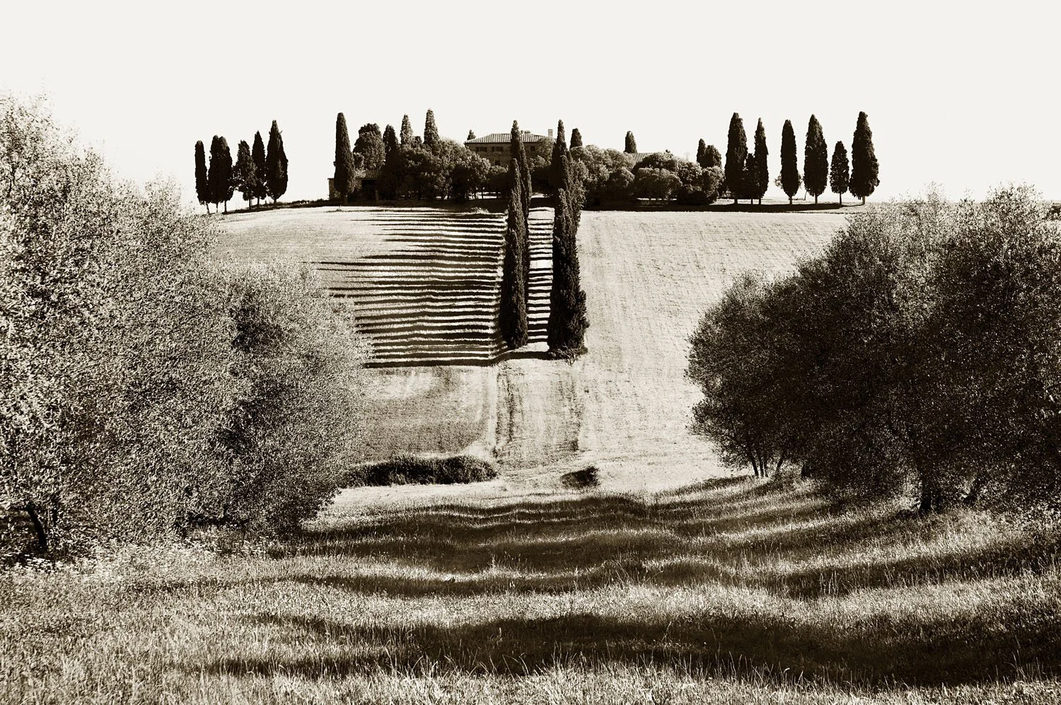 San Quirico d'Orcia