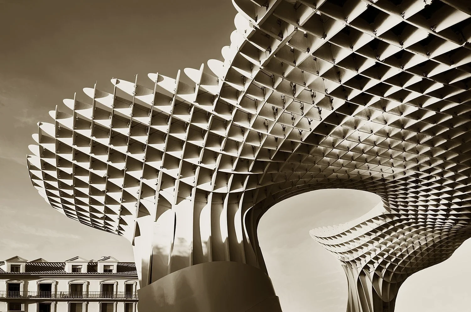 Setas de Sevilla 3
