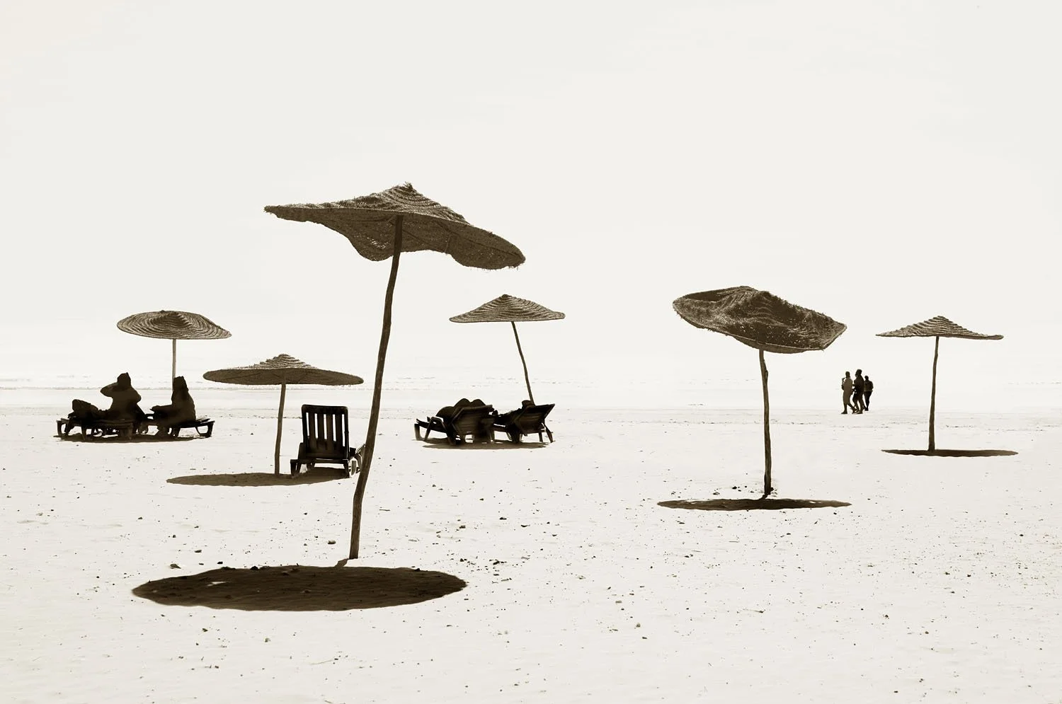 Beach Brollies