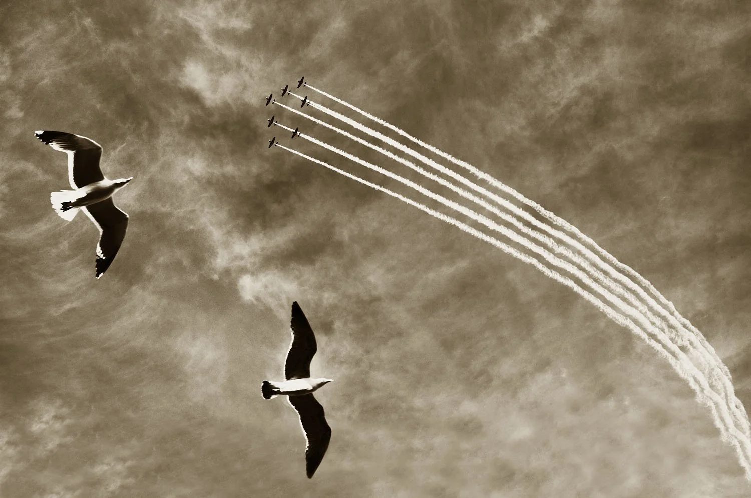 Flypast