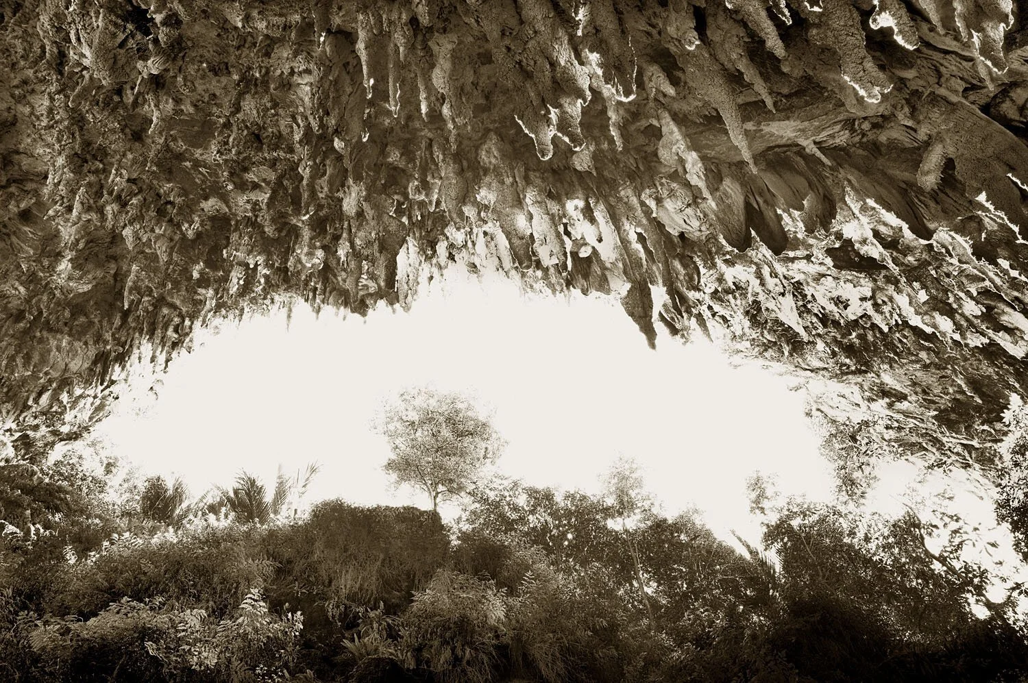 Rawhiti Cave 2