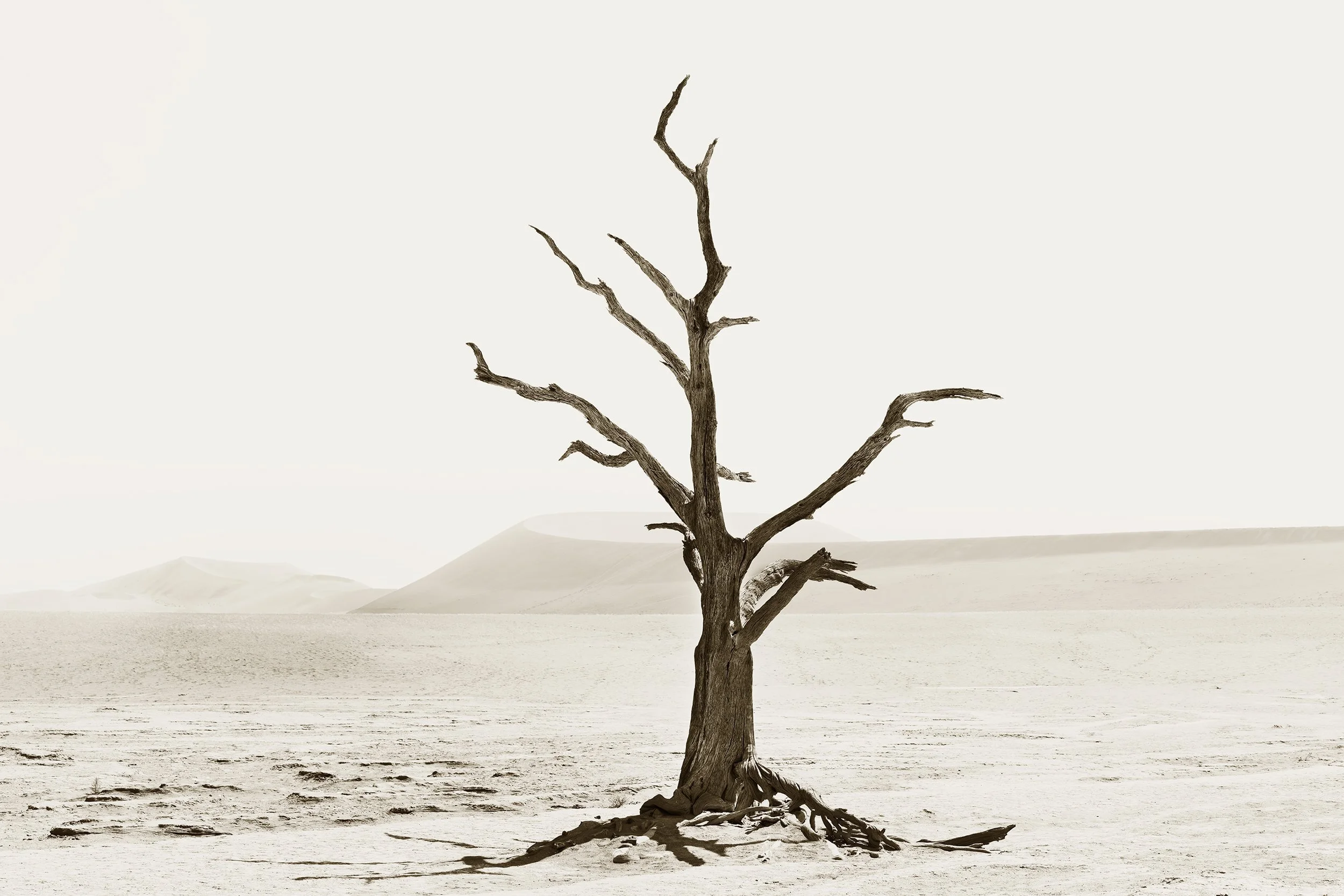 Deadvlei 2